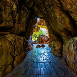 Bhimbetka Rock Shelters