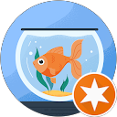 Traveller profile picture