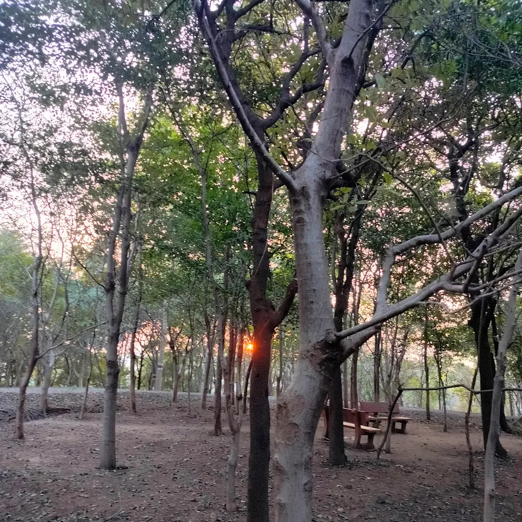 Gallery image